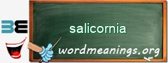 WordMeaning blackboard for salicornia